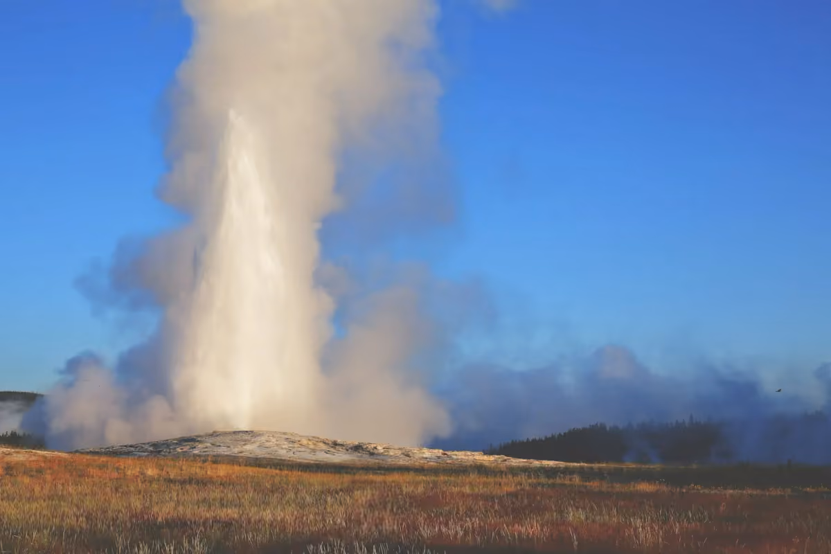 Old Faithful erupting in Yellowstone National Park