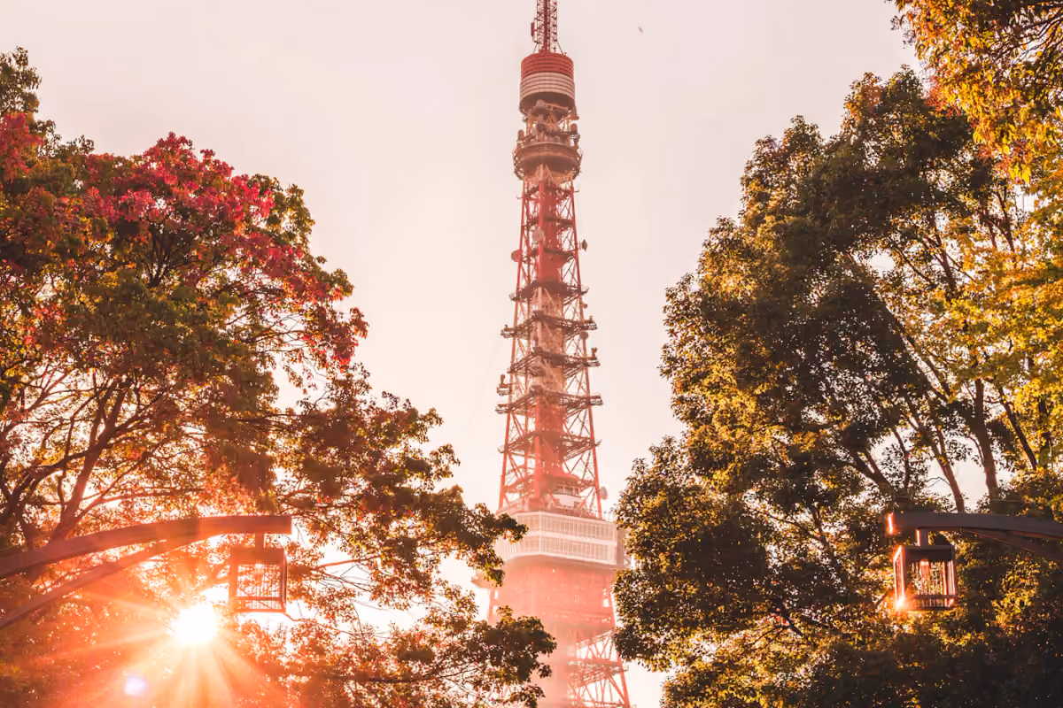 Tokyo Tower framed by trees and warm autumn light