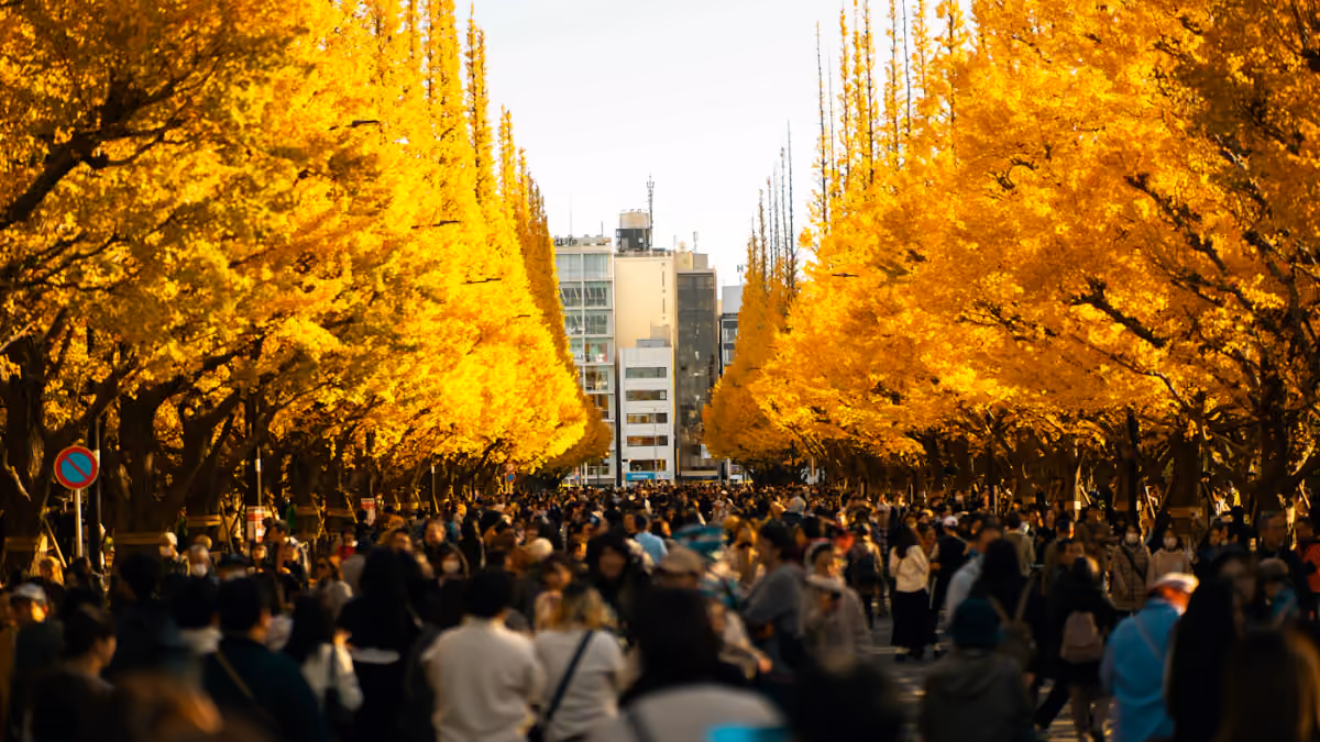 Visitors walking beneath yellow autumn trees on an avenue in Tokyo