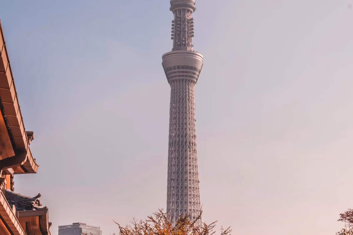 Tokyo Skytree rising above neighborhood buildings